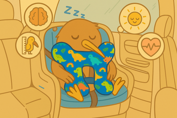 L'importance du sommeil
